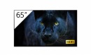 SONY 65'' 4K OLED Android Professional BRAVIA with Tuner